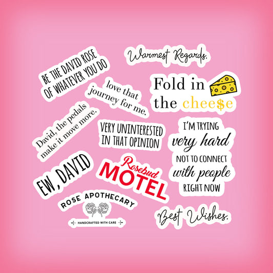 funny stickers pack, tv show gifts, funny David sticker, popular tv show, computer stickers, laptop, water bottle decal, car sticker, tumble