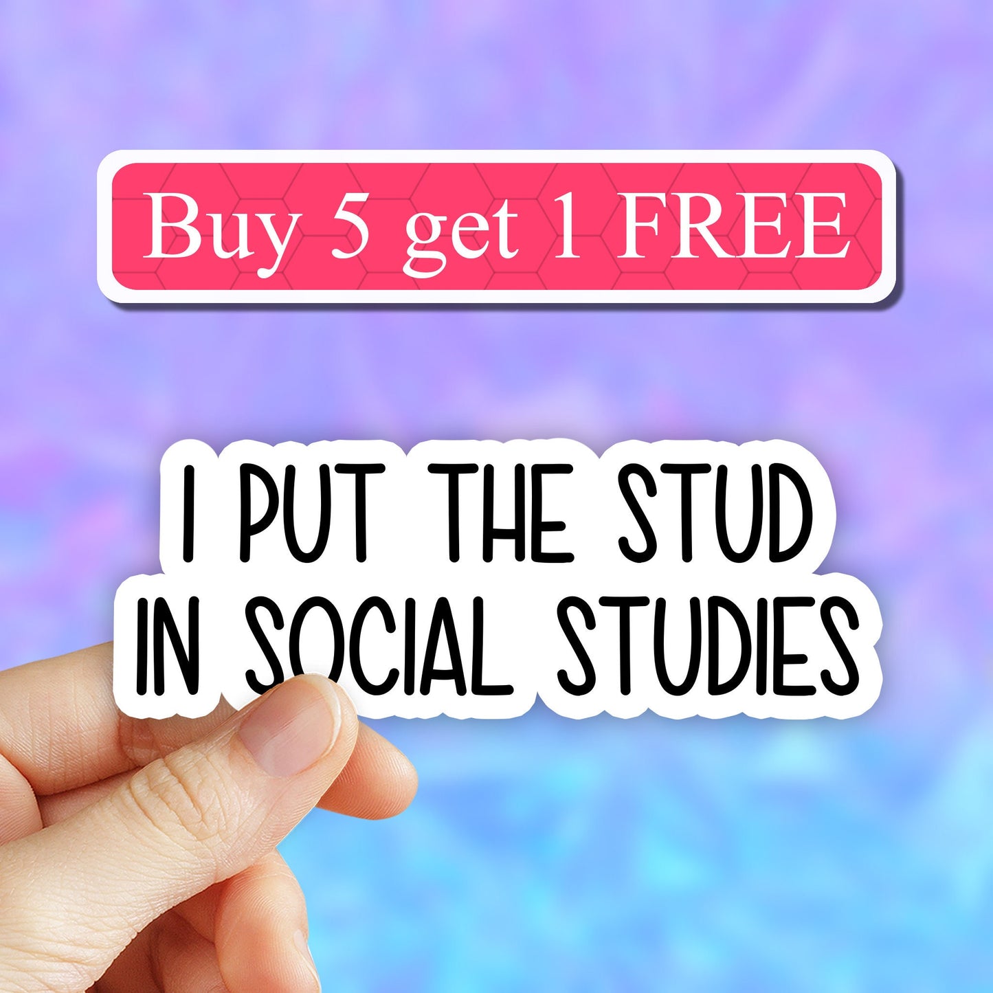 I put the stud in social studies sticker, history sticker, social studies laptop decal, tumbler stickers, water bottle sticker, water bottle
