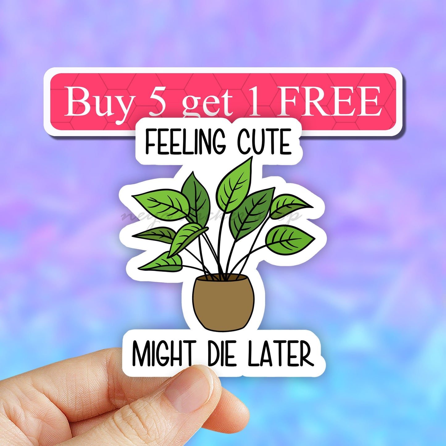 Feeling Cute Might Die Later Plant Sticker, plant life stickers, funny laptop stickers, funny plant decal, water bottle stickers, plant pot