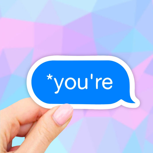 You're Sticker, Grammar Spelling Sticker, Laptop Stickers, VSCO Stickers, Aesthetic, Vinyl Decal, Water bottle, Computer Sticker, Tumbler