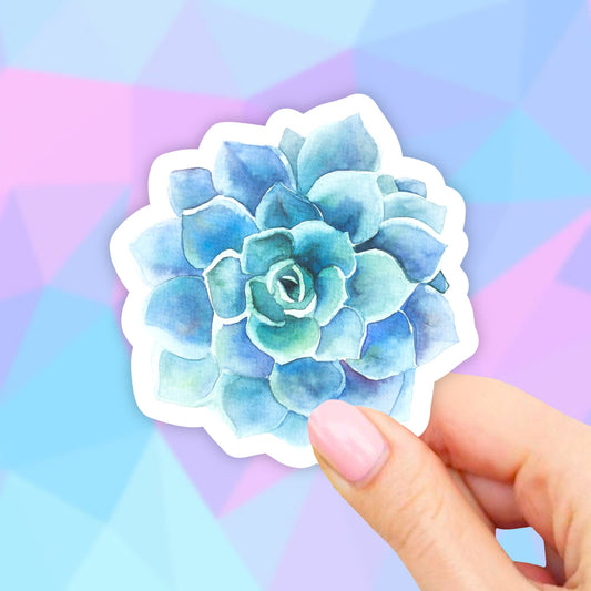 Blue Water Succulent Sticker, Waterbottle Stickers, Cactus Stickers, Plant Mom, Laptop Stickers, Aesthetic Stickers, Vinyl Stickers