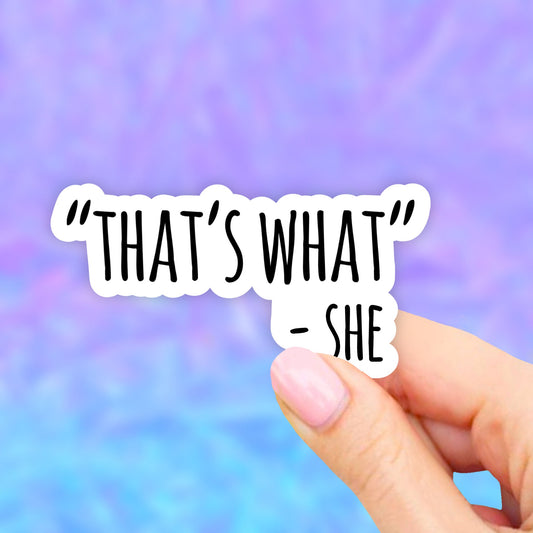 That's what she said Sticker, Laptop Stickers, Laptop Decal, Aesthetic Stickers, Vinyl, Water bottle Stickers, Computer Sticker, Waterproof