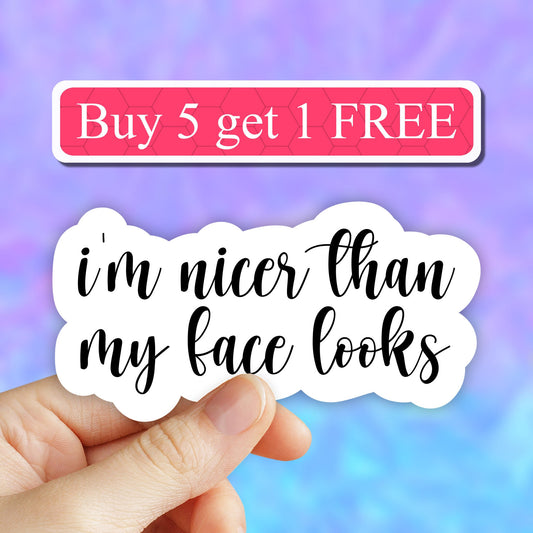 I'm nicer than my face looks sticker, sarcasm stickers, laptop stickers, water bottle decals, tumbler stickers, sassy stickers, computer