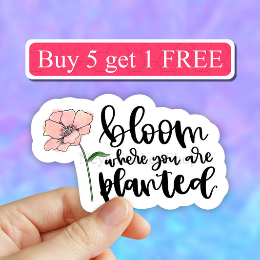 Bloom where you are planted sticker, poppy floral stickers, Plant mom stickers, inspirational quotes, motivational, motivational stickers