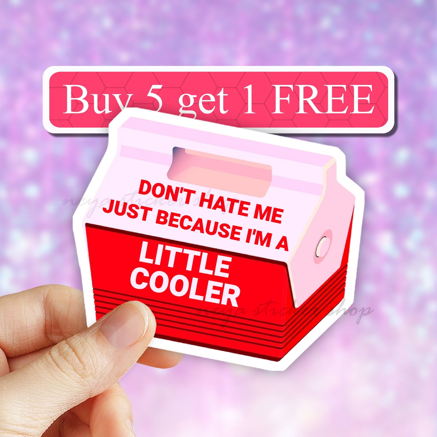 Don't Hate Me Because I'm A Little Cooler Sticker, meme Funny Sticker, Funny Laptop Decal, Water Bottle Sticker, car decal, camping sticker